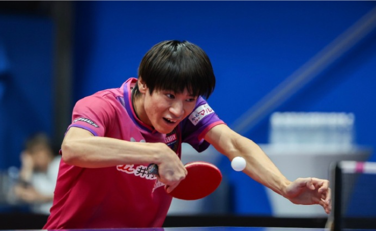 界排名就有, 袁嘉楠